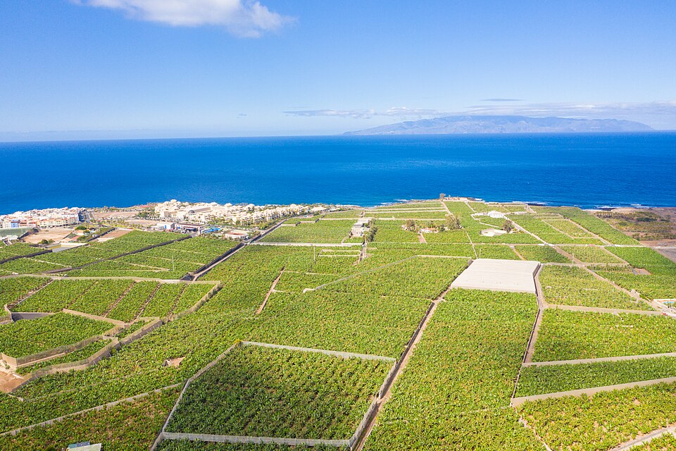 Tenerife