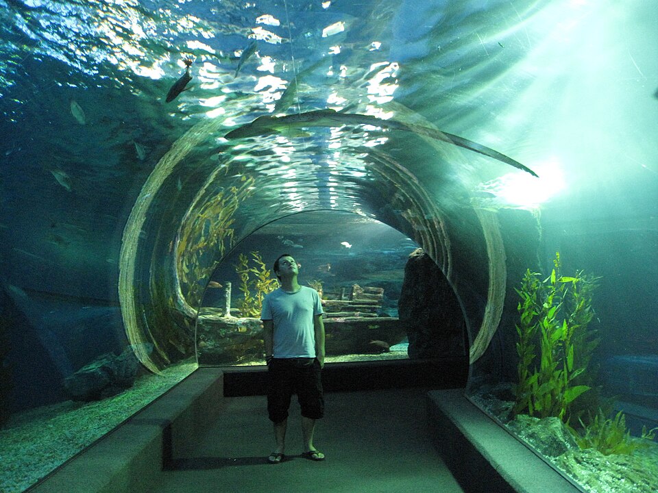 Siam Ocean World tunnel