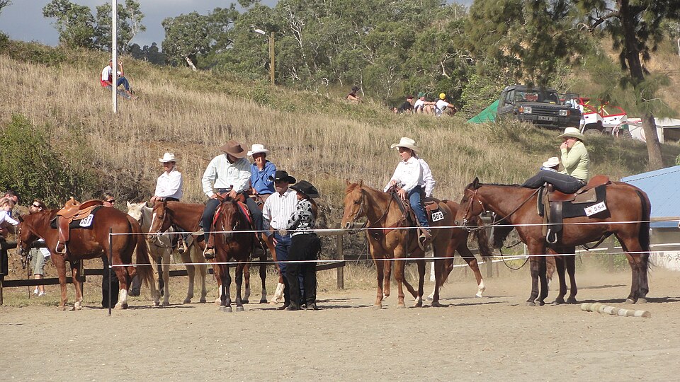 Foire chevaux