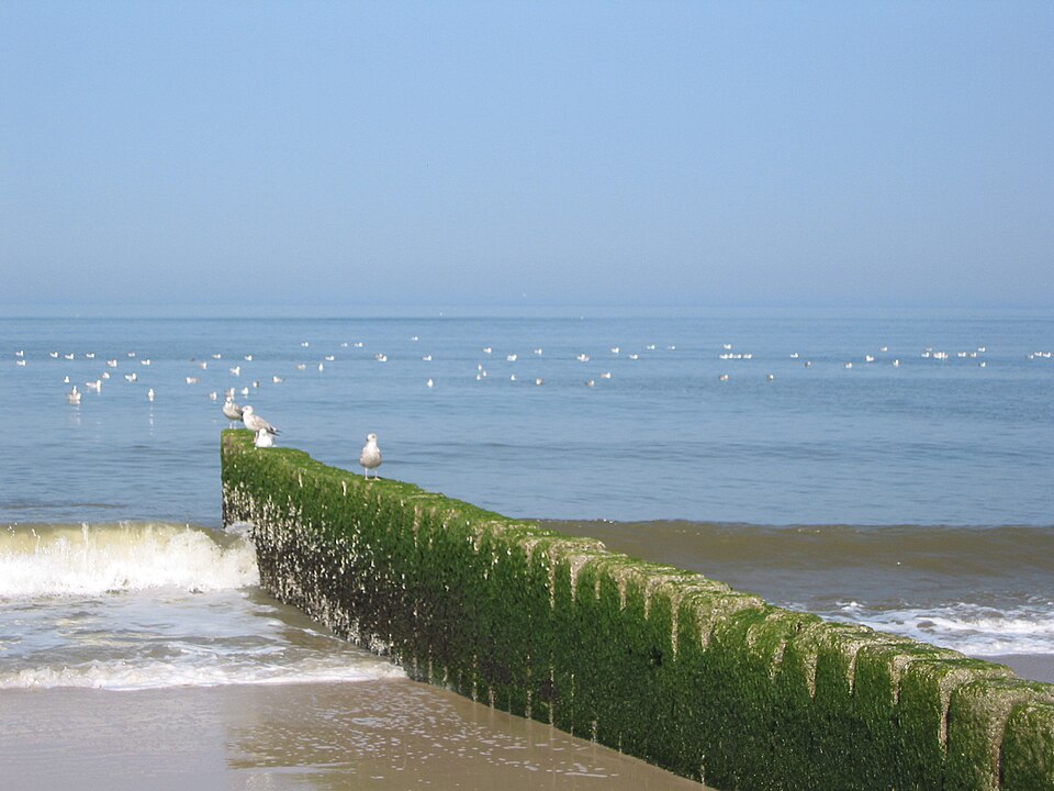 Sylt