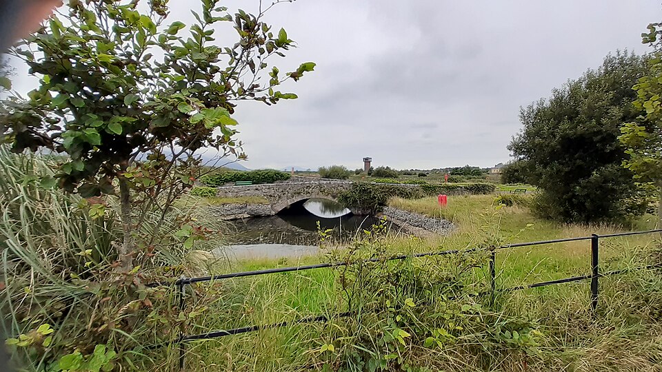 Tralee