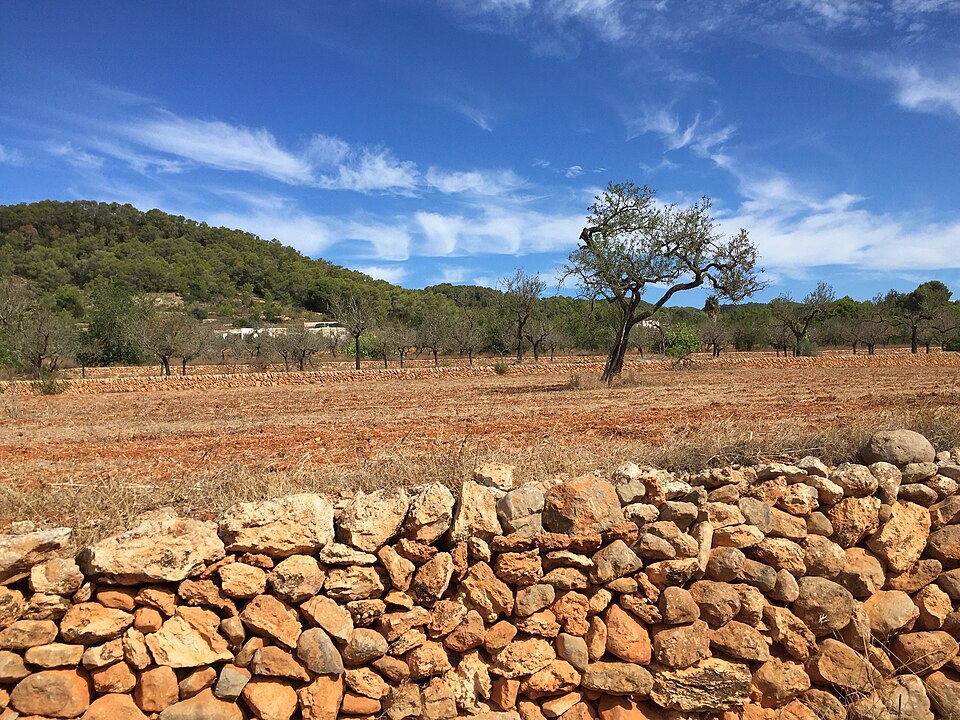 Ibiza Felder Trockensteinmauer