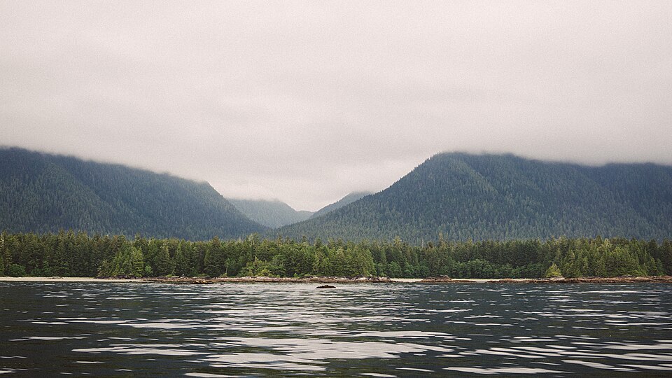 Fog over woody hills