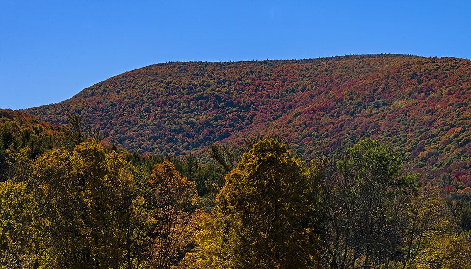Lexington