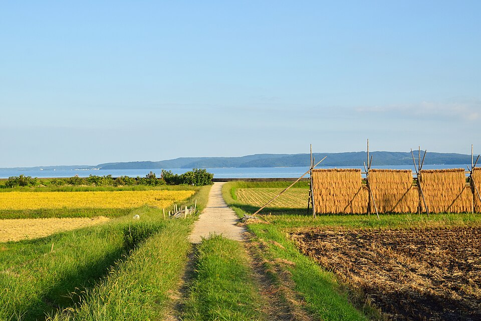 Honshu