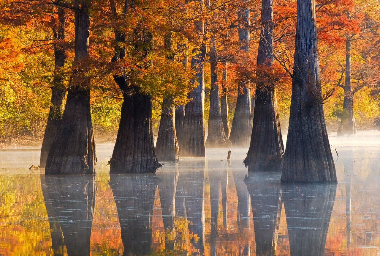 Arkansas
