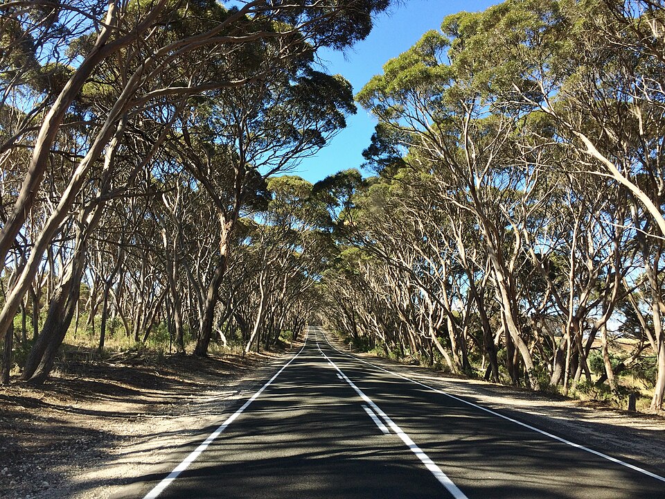 in Kangaroo Island