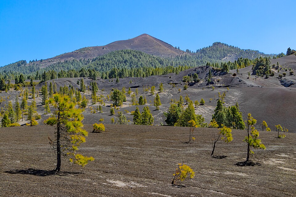en La Palma
