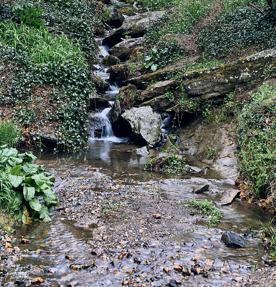 Asheville