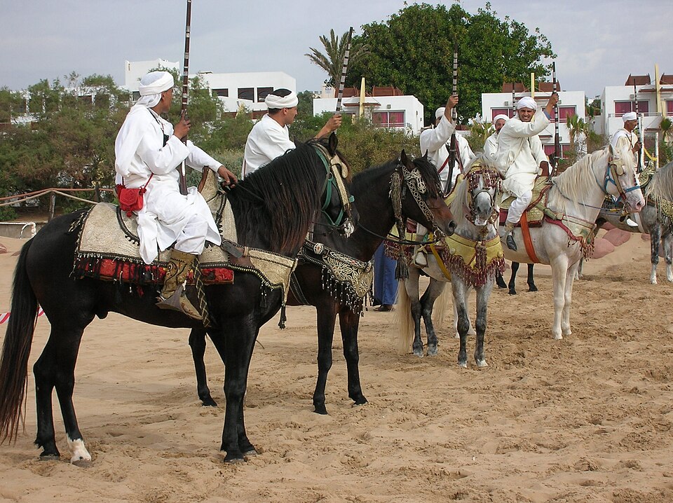 Berber warriors show