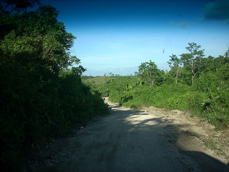 Toledo District