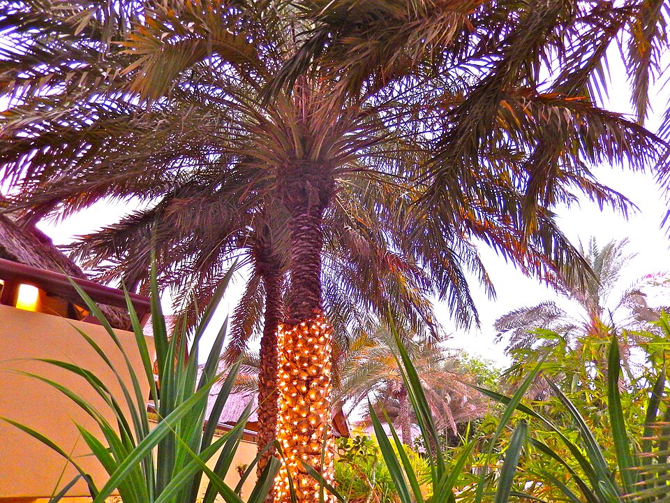 Jumeirah
