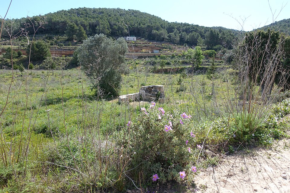 Ibiza Natur Brunnenruine