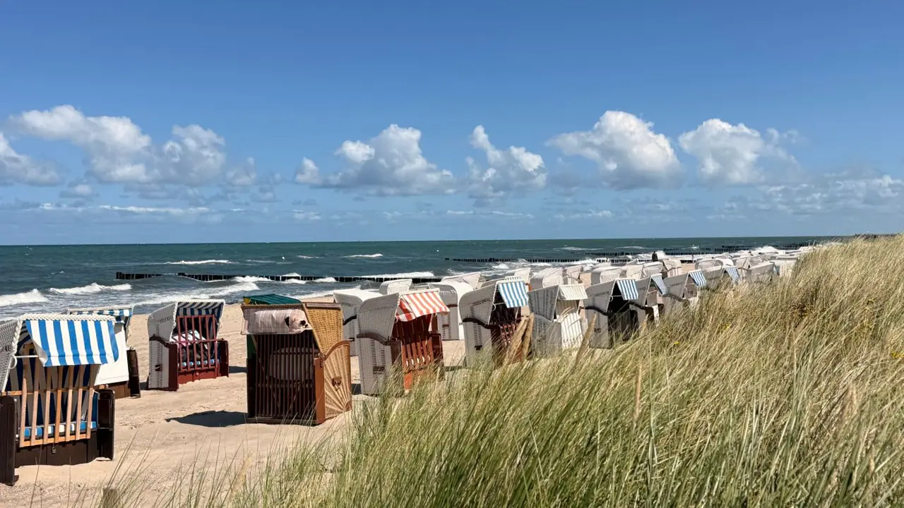 A beach on the Baltic Sea