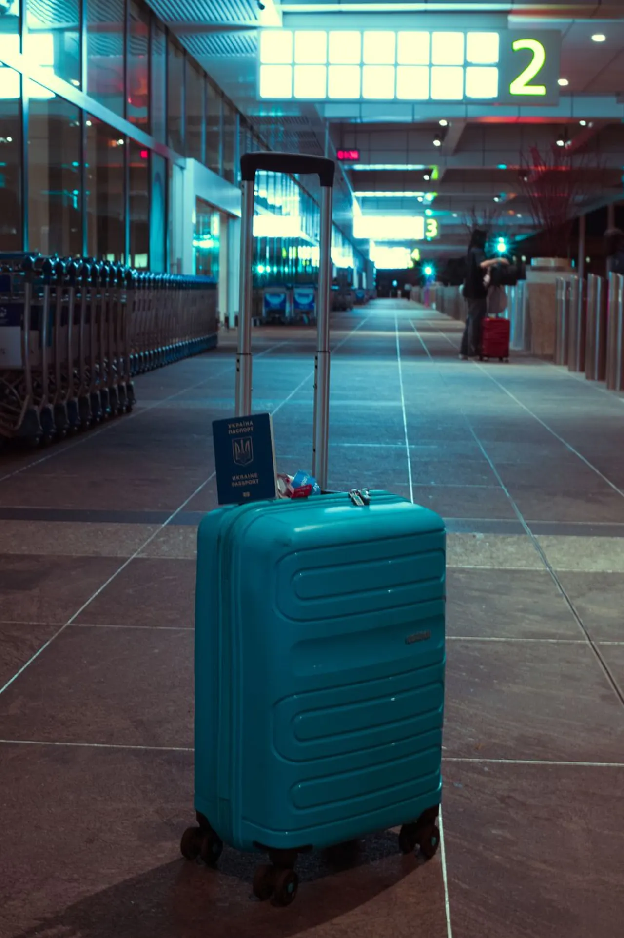 Medium checked suitcase